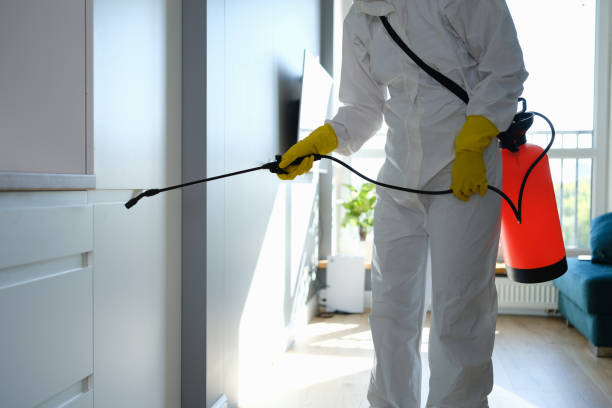 Biohazard Mold Removal in Henrietta, TX